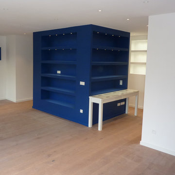 Rénovation d'un appartement "Blue Box"
