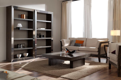 Design ideas for a medium sized contemporary formal living room.