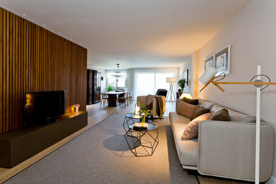 This is an example of a contemporary living room in Other.