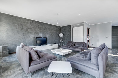 リヨンにある高級な広いコンテンポラリースタイルのおしゃれな独立型リビング (グレーの壁、スレートの床、暖炉なし、据え置き型テレビ、グレーの床) の写真