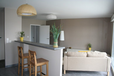 Design ideas for a contemporary living room in Nantes.