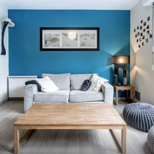 75 Beautiful Scandinavian Blue Living Room Pictures Ideas November 21 Houzz