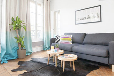 Parisian living room / Salon parisien