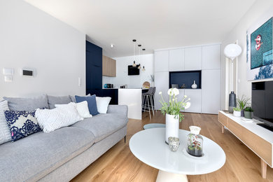 Kleines, Repräsentatives, Offenes Maritimes Wohnzimmer ohne Kamin mit weißer Wandfarbe, hellem Holzboden und freistehendem TV in Paris