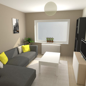 Rénovation partielle à petit budget d'un appartement // Saint Etienne