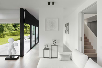 Réalisation d'un salon minimaliste avec un mur blanc et parquet clair.