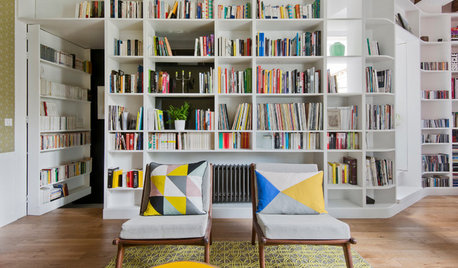 Dens and Libraries on Houzz: Tips From the Experts
