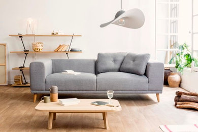 Living room - scandinavian living room idea in Paris