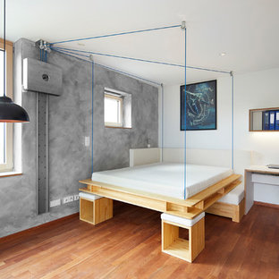 Mittelgroßes Modernes Hauptschlafzimmer ohne Kamin mit grauer Wandfarbe, hellem Holzboden und braunem Boden in Sonstige