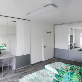 Mittelgroßes Modernes Hauptschlafzimmer ohne Kamin mit weißer Wandfarbe, Schieferboden und grauem Boden in Sonstige
