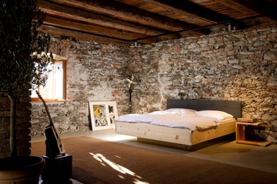 フランクフルトにある広いカントリー風のおしゃれな主寝室 (グレーの壁、カーペット敷き、赤い床) のインテリア