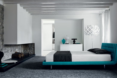Großes Modernes Hauptschlafzimmer ohne Kamin mit weißer Wandfarbe und Teppichboden in Sonstige