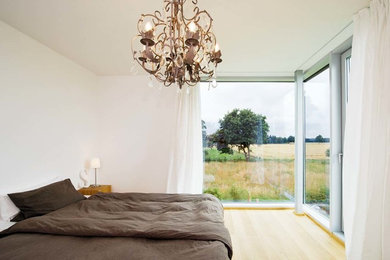 Mittelgroßes Modernes Schlafzimmer ohne Kamin mit hellem Holzboden und weißer Wandfarbe in Hannover