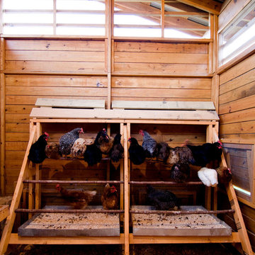 Alabama Chicken Coop