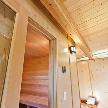 Bay Area, CA Modern Sauna