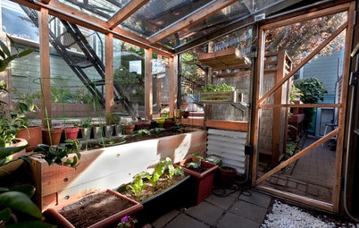 10 Great Crops for a Winter Greenhouse