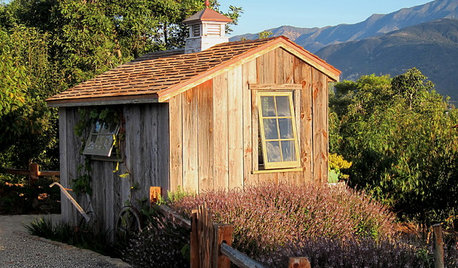 A Storybook Potting Shed Rises From a Dirt Lot