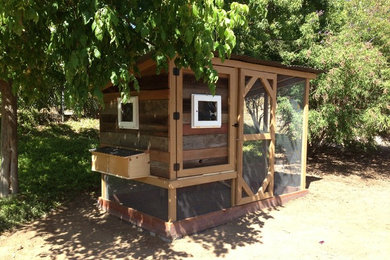 Chicken Coop from Reclaimed Wood