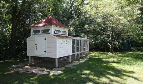 Raise the Roost: You Won’t Believe These Next-Level Chicken Coops