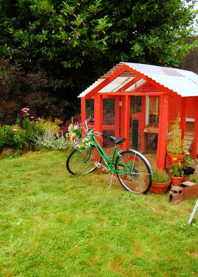 Eclectic Shed by Lola Nova