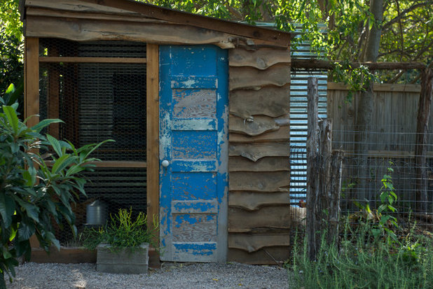 Eclectic Shed by Hilary Walker