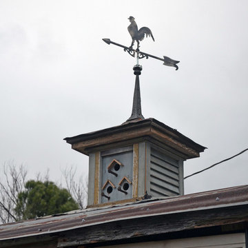 Dallas, TX: Greenman / Curvan Chicken Coop