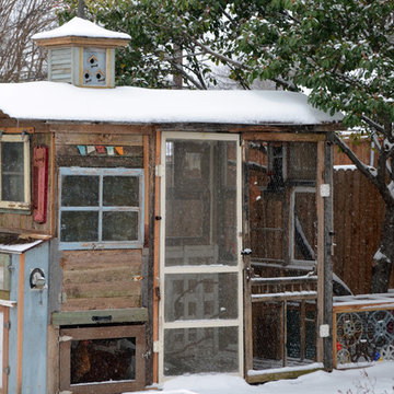 Dallas, TX: Greenman / Curvan Chicken Coop