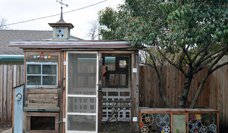 Quirky Meets Practical in a Dallas Chicken Coop