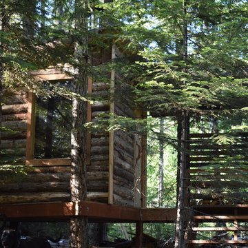 DIY Tree House Sauna