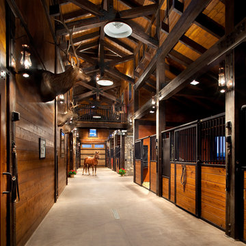 Equestrian & Cattle Facility