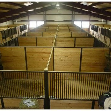 Equestrian projects