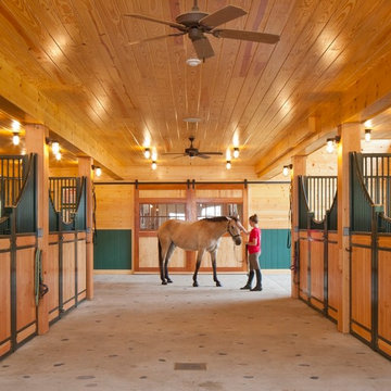 Equestrian Riding Arena
