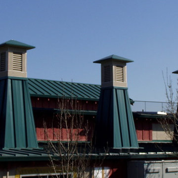 Farmhouse Cupolas
