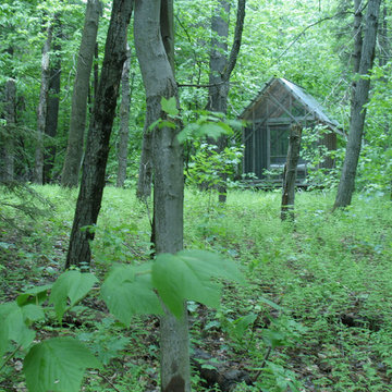 fern house in summer
