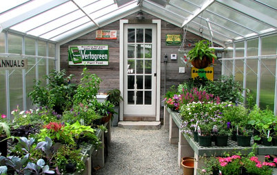 Room of the Day: An Old Shed Becomes a Spa and Greenhouse