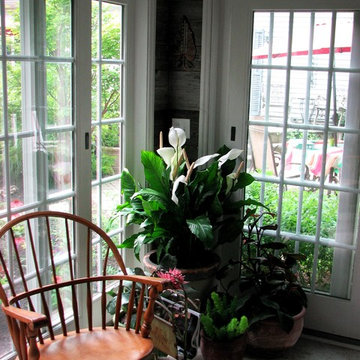 Garden Room with Tropical plants