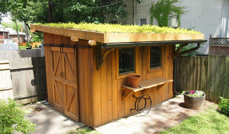 A Kentucky Garden Shed With a Planted Roof