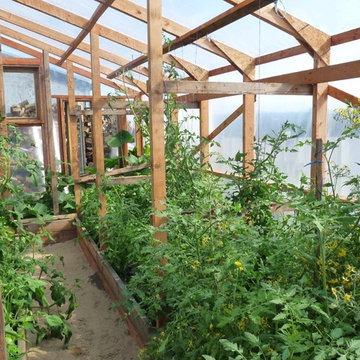 Greenhouse - Tomatoes Greenhouse