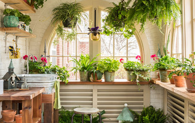 Indoor Plants Add Style and Cheer in Winter