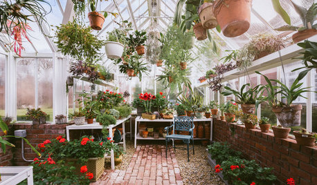 Peek Inside 10 Dreamy Greenhouses