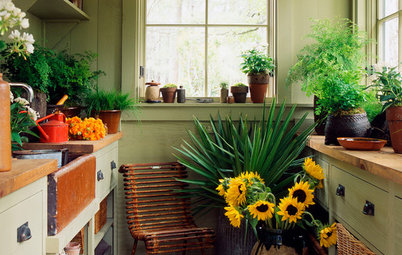 10 Ways to Revamp Your Garden Shed