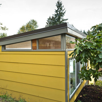 Modern-Shed man cave and home office