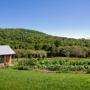 My Houzz: An Antique Cape Cod House Explodes With Color