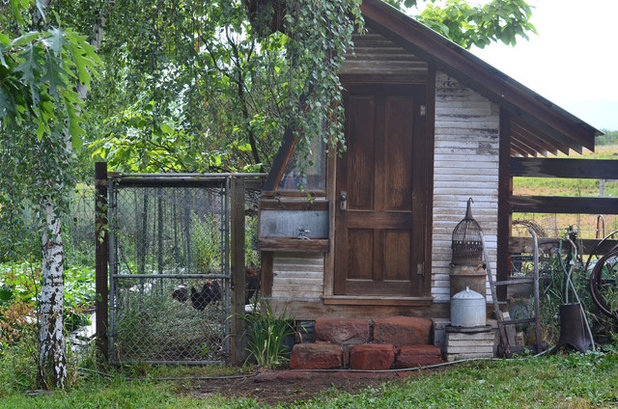 Rustic Shed by Sarah Greenman