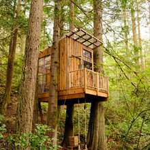 Treehouses -
