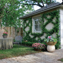 Superb Sheds