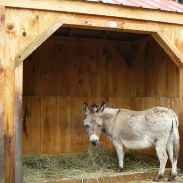 Run In shed ~ Custom sizing for mini donkeys