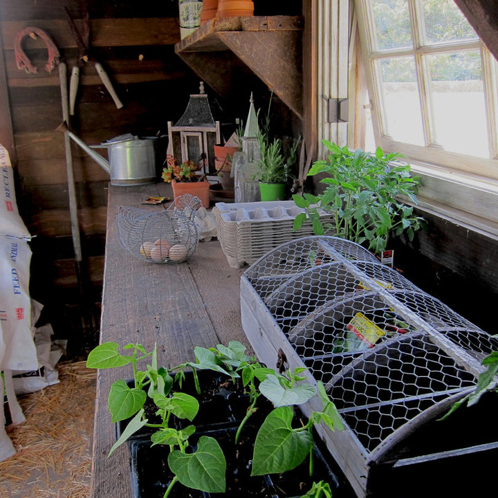 Spanish Style Chicken Coops Photos & Ideas Houzz