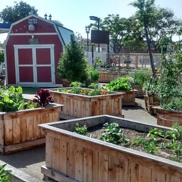 Smart Farms Garden Shed