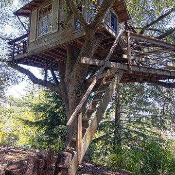 Treehouse